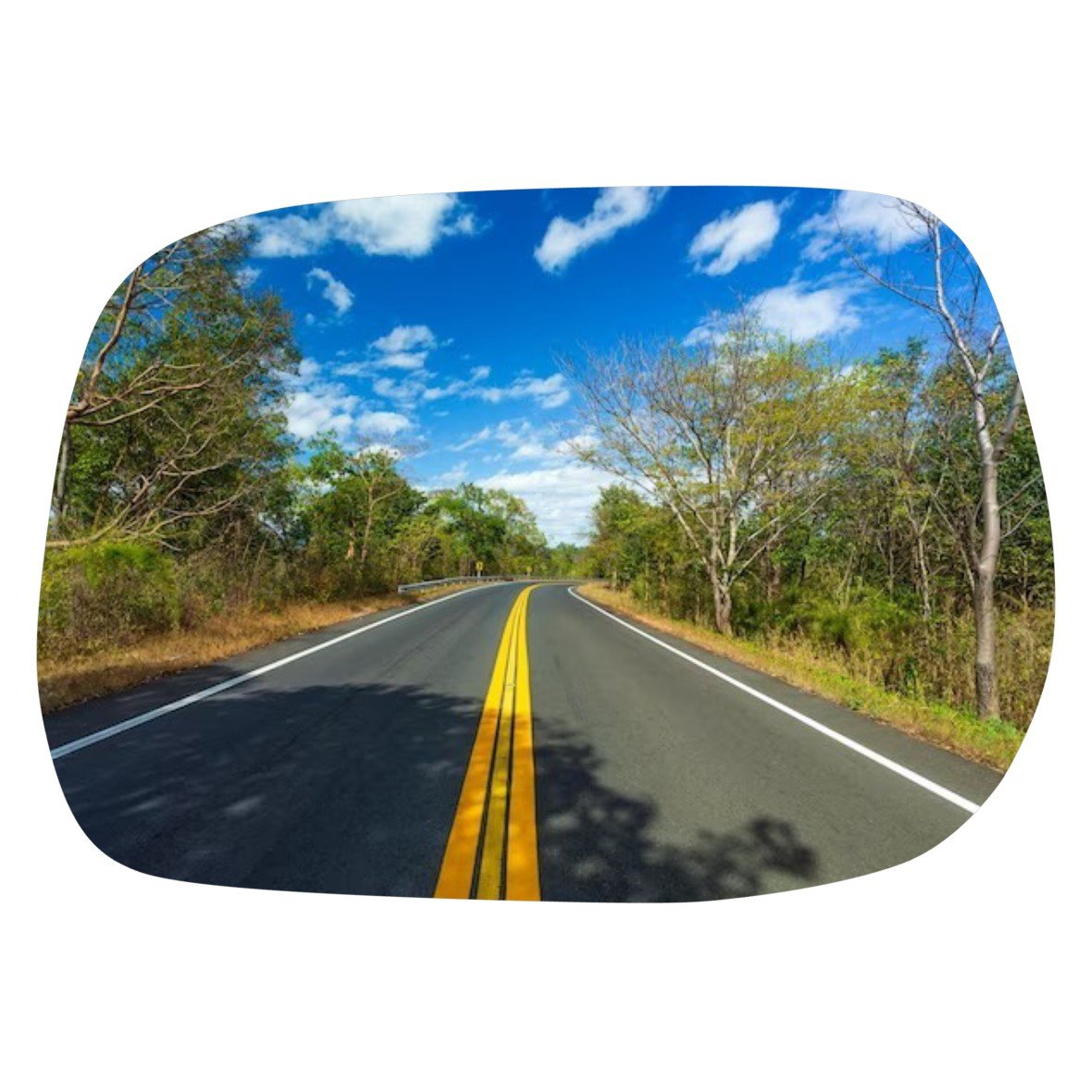 Toyota Rav4 Rav 4 2000-2005 Luneta espejo retrovisor Alternativo